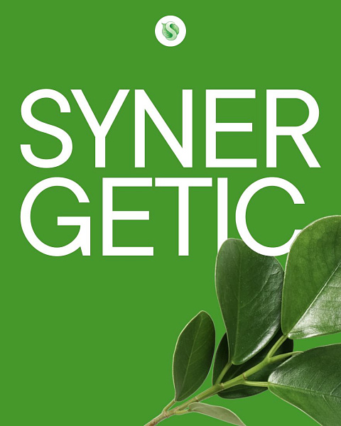 Редизайн интернет-магазина Synergetic